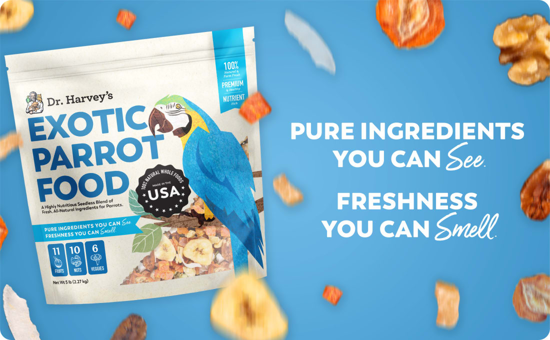 Exotic Parrot Blend