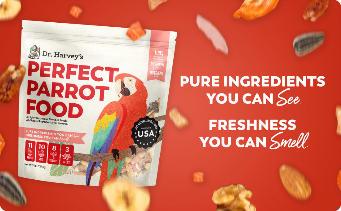Perfect Parrot Food