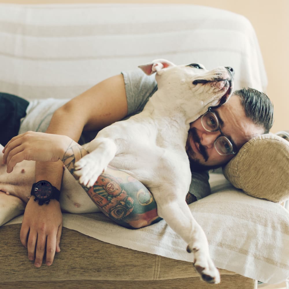 Man with glasses and tattoos lying on a couch with a white dog.