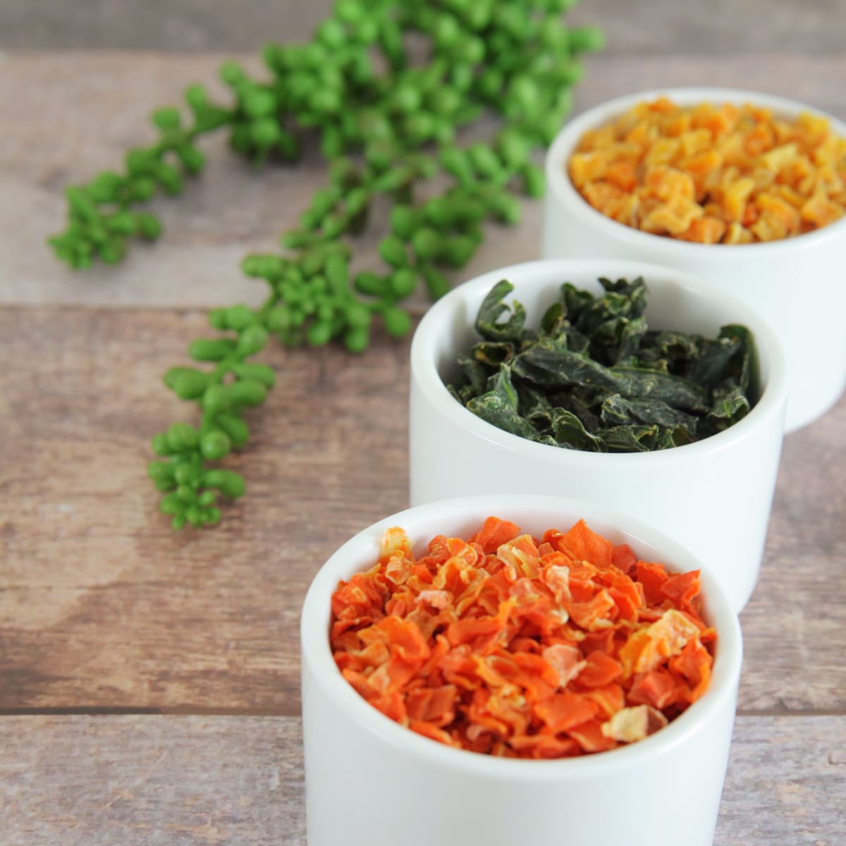 Our Ingredients Tell It All