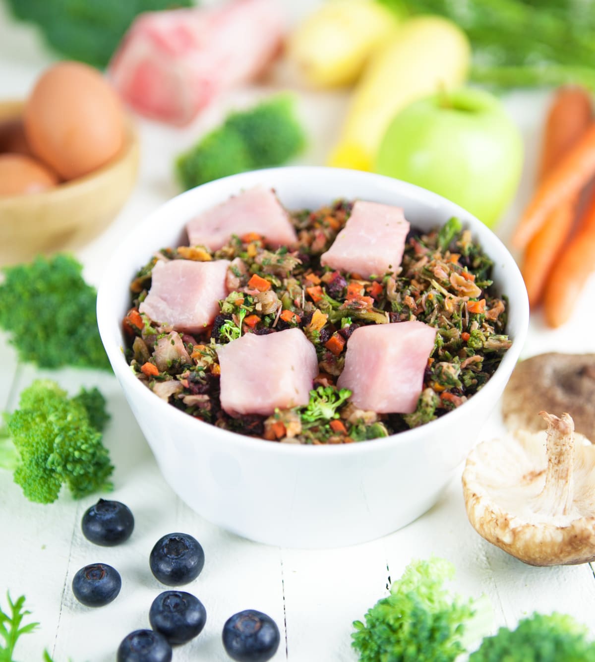 The Scoop on Raw Diets