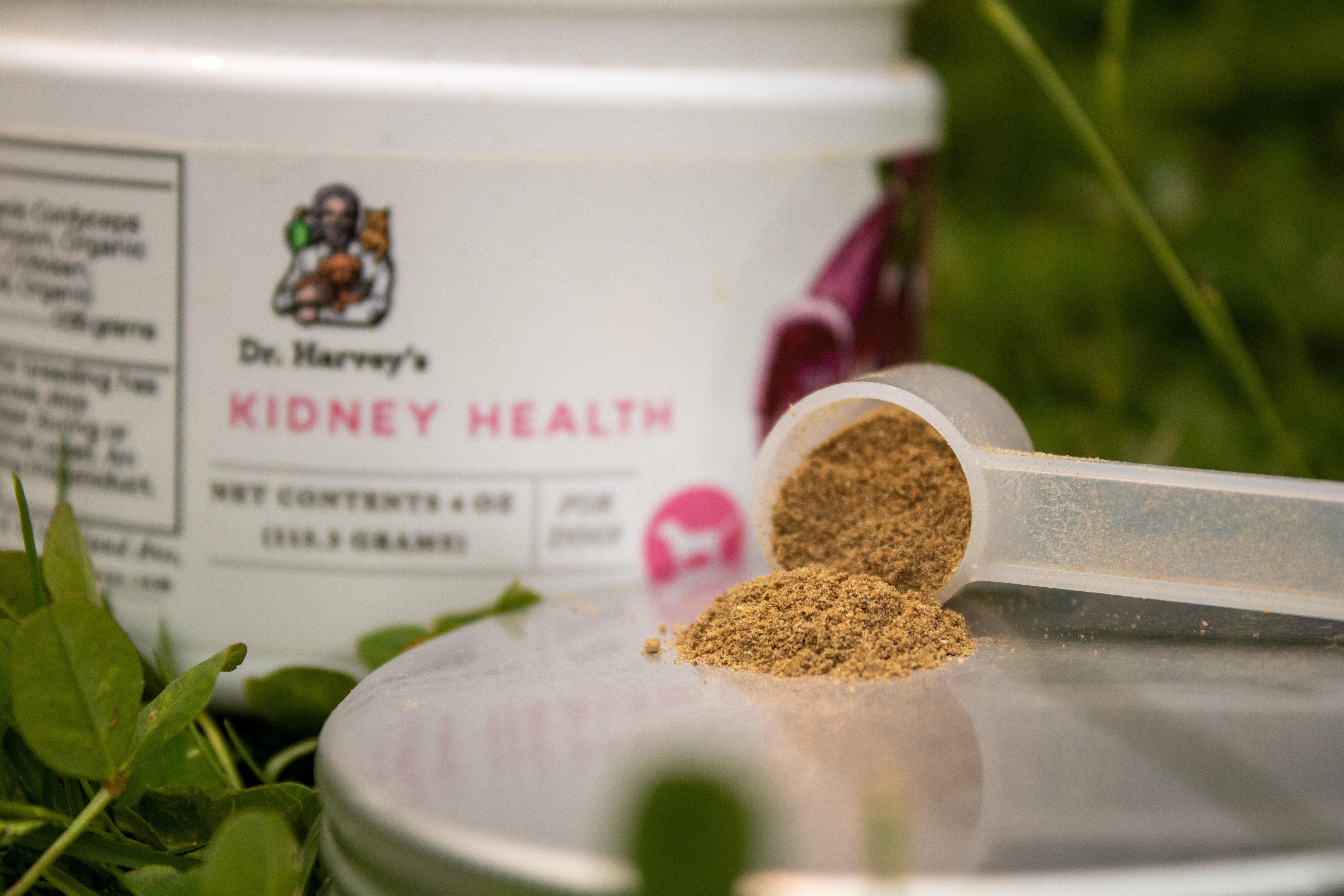 Unlocking the Advantages of Natural Kidney Supplements for Dogs.