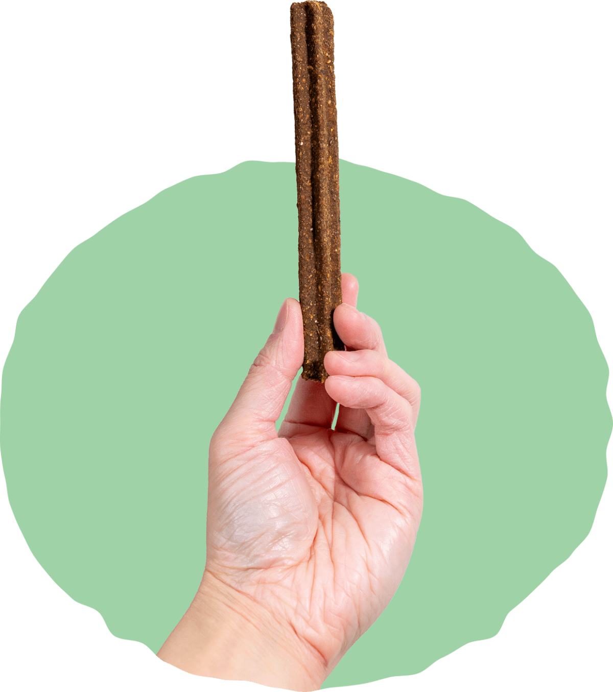 Holistix Dental Chews