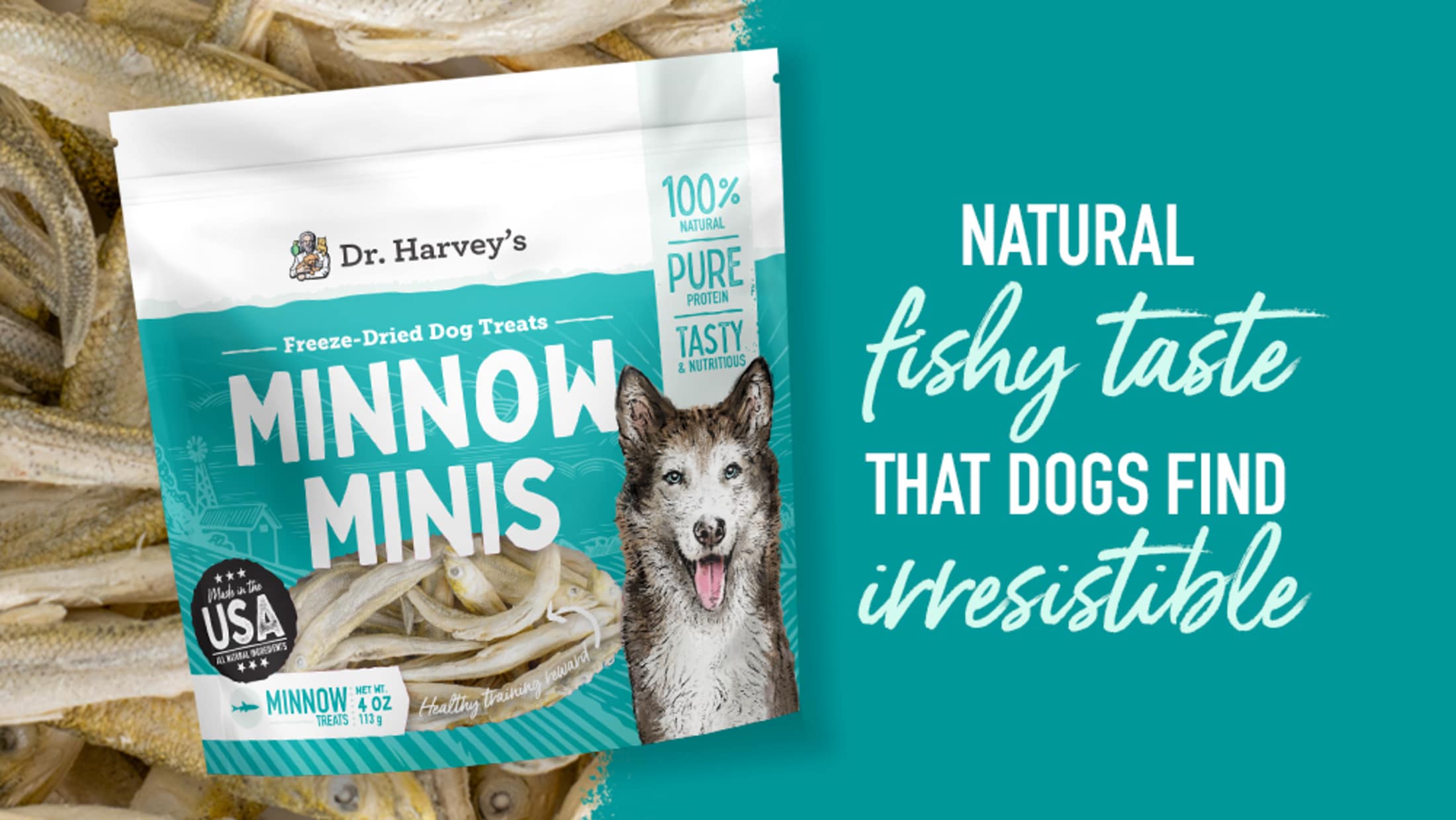 Minnow Minis