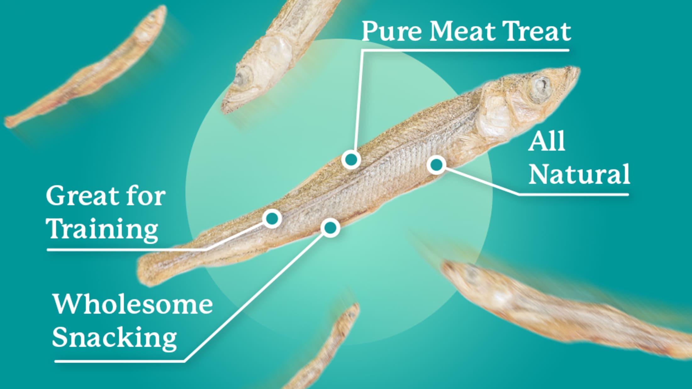 Pure Meat Treat, All Natural, Great for Training, Wholesome Snacking